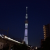 5周年の祝光②