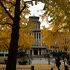 Autumn in YOKOHAMA③