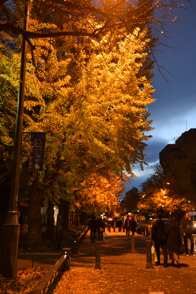 Autumn in YOKOHAMA⑥