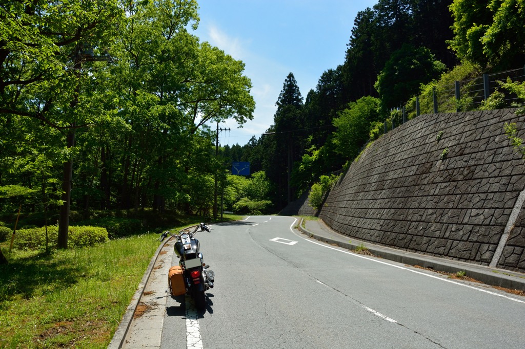新緑を満喫！①