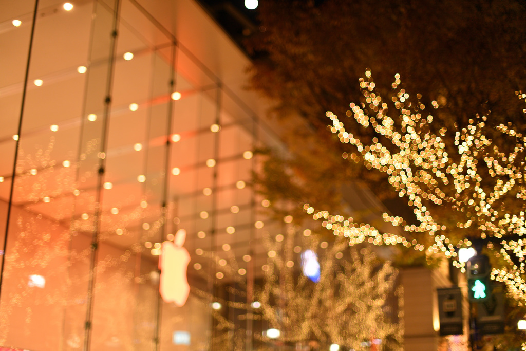クリスマスシーズンの輝き2017⑤