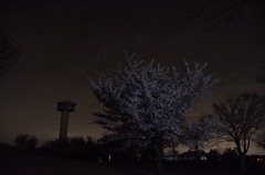 今夜は皆既月食②