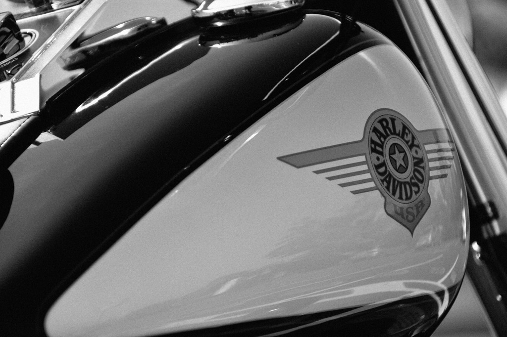 MONOCHROME EVOLUTION⑤