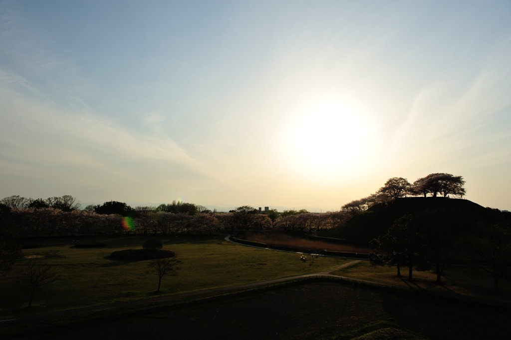 夕暮れの埼玉古墳群④
