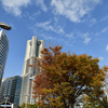 Autumn in YOKOHAMA①