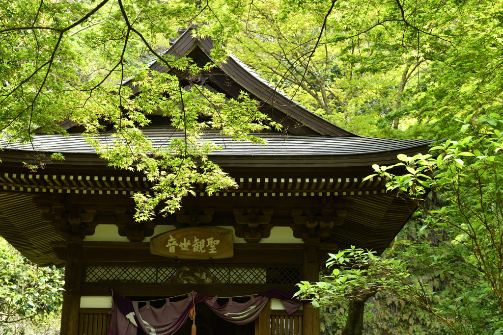北鎌倉散策②