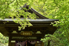 北鎌倉散策②