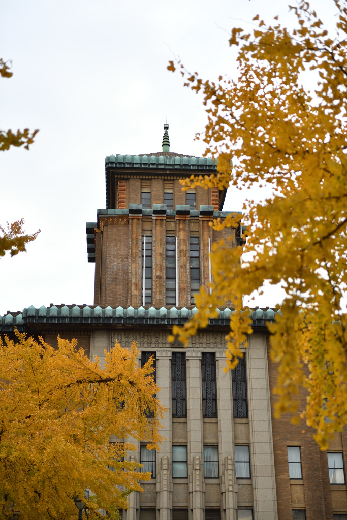 Autumn in YOKOHAMA④