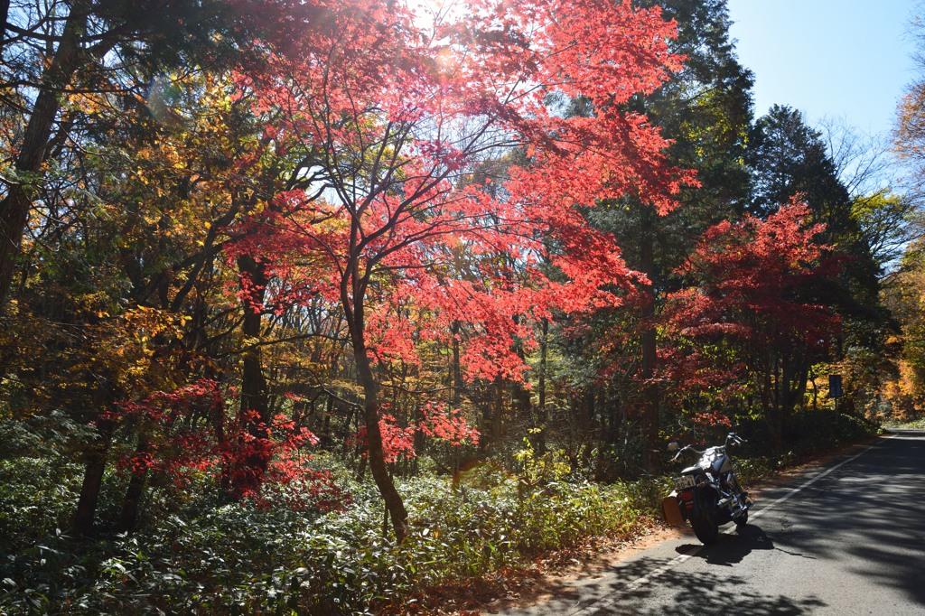 紅葉ツーリング②