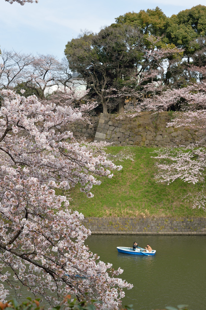 乾通りから千鳥ヶ淵へ⑩