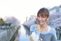 桜並木と桜井さん