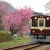 花咲くわ鉄　～神戸駅～④