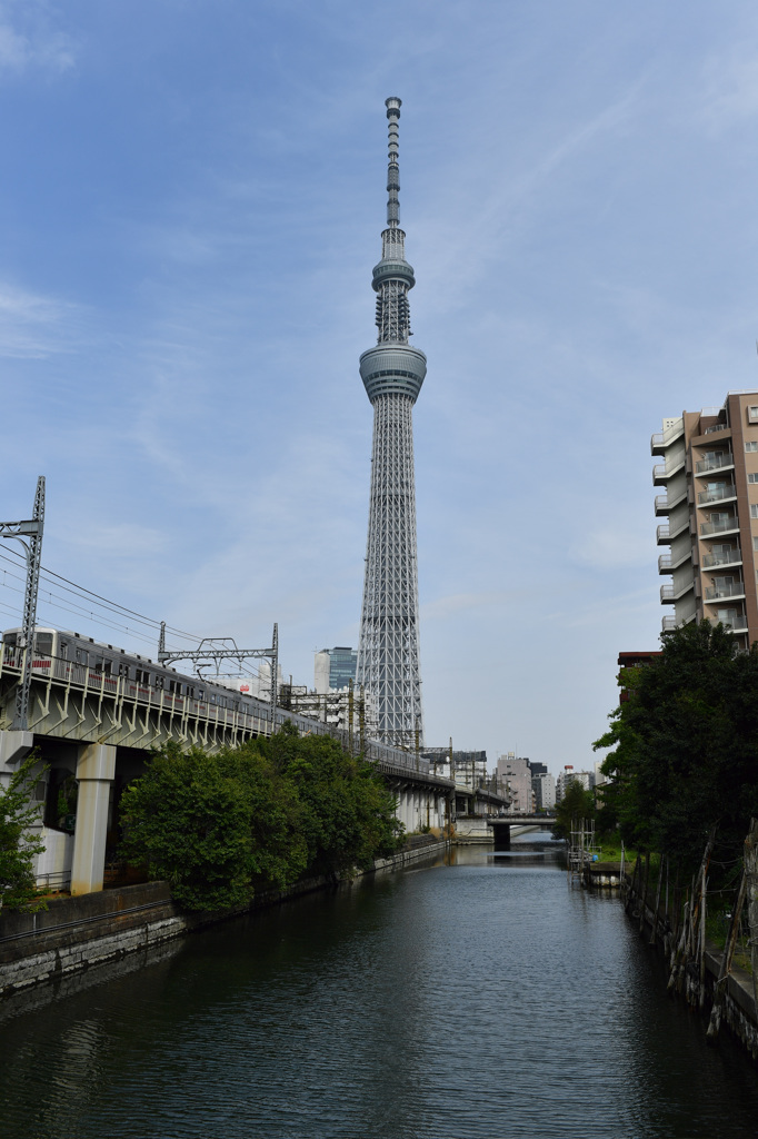D5初撮り④