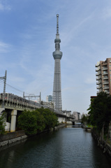 D5初撮り④