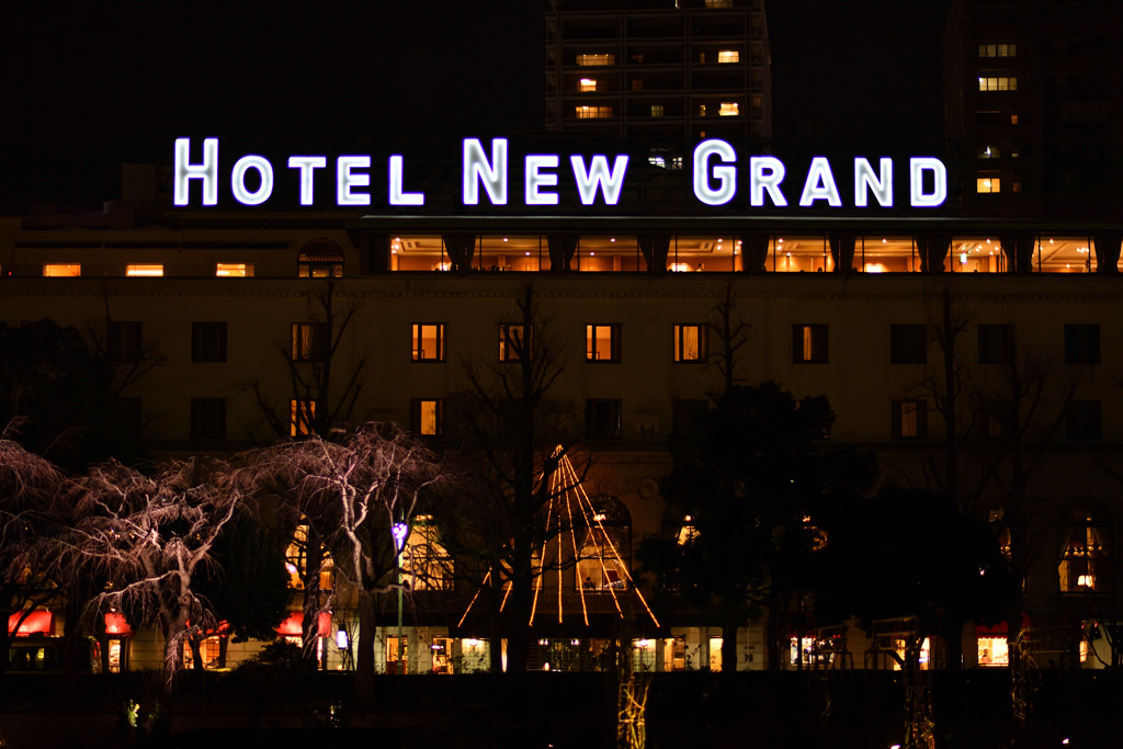 HOTEL NEW GRAND