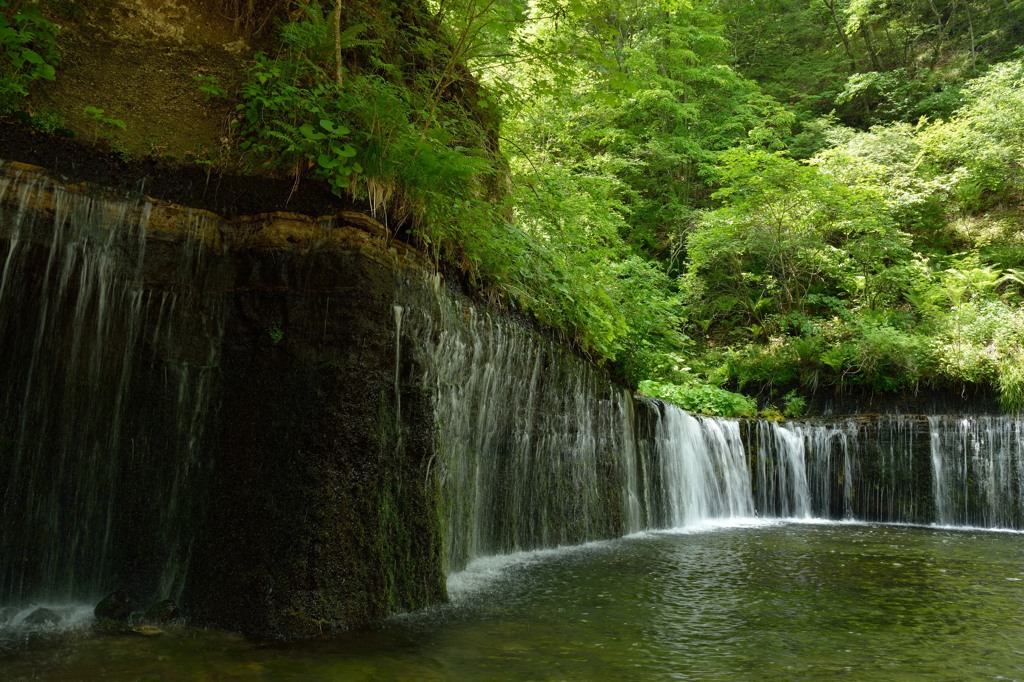 新緑の白糸の滝②