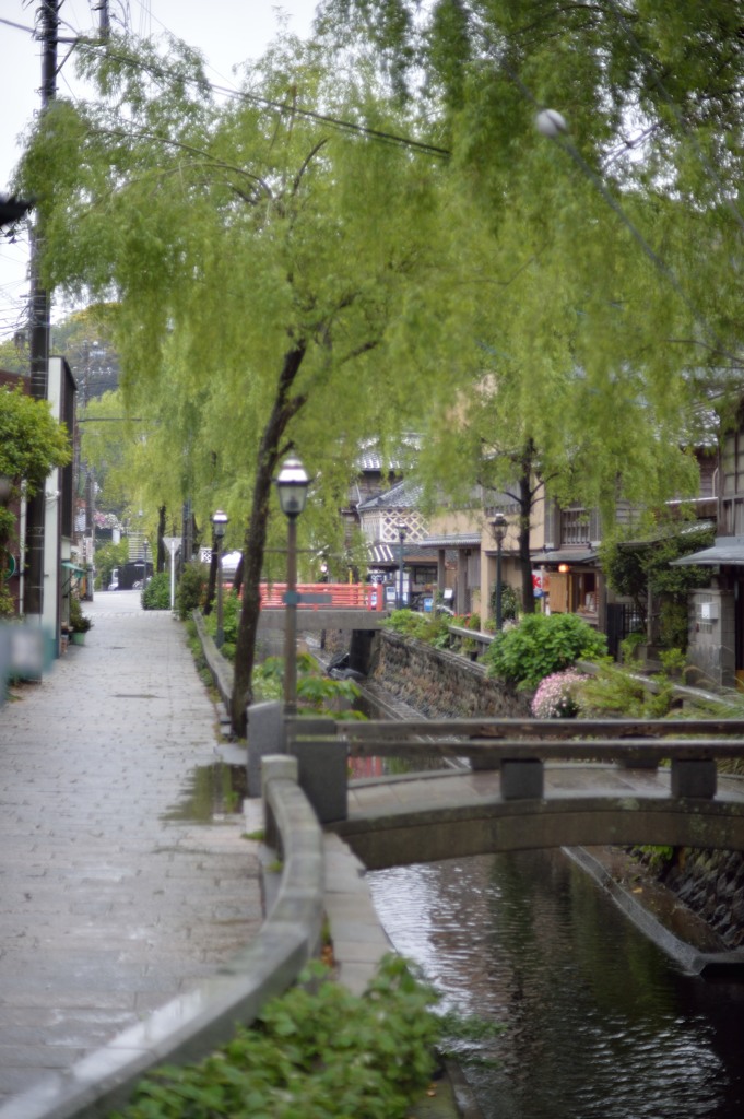 雨のペリーロード①