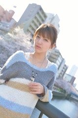 桜並木と桜井さん