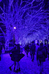 クリスマスシーズンの輝き2017②