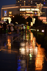 Rainynight YOKOHAMA④