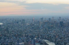 2014/1/28　東京スカイツリー　08