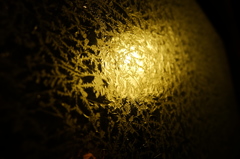 DSCF4677