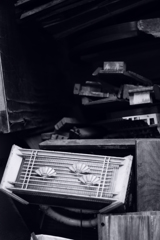 ゴミになって。