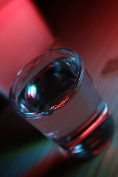 パラプレジャー。