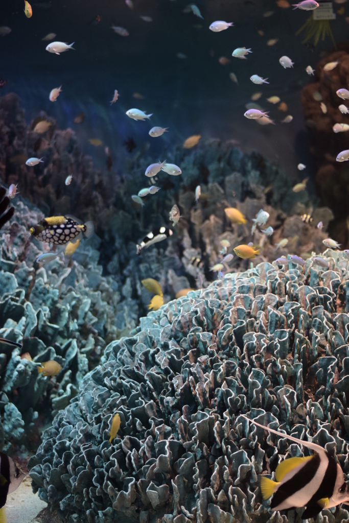 作り物のブルー。