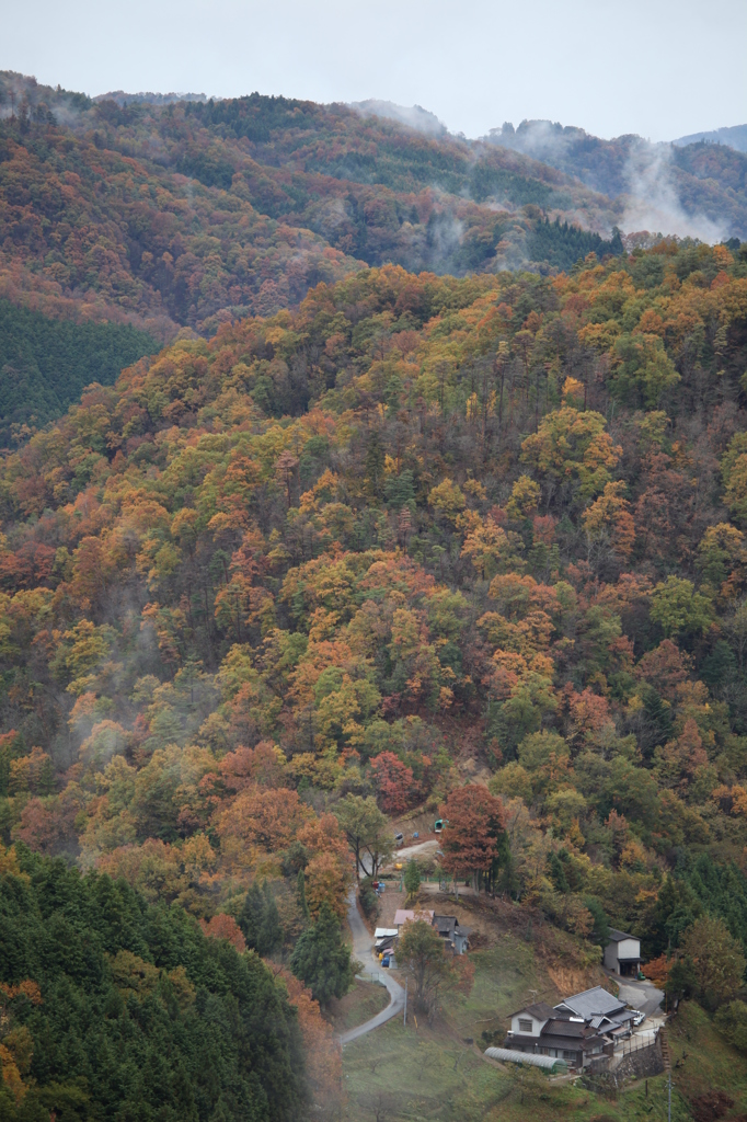 山里の秋