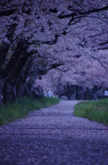 雨上がりの朝