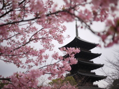 東寺五重塔