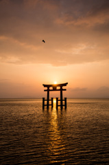 白髭神社２