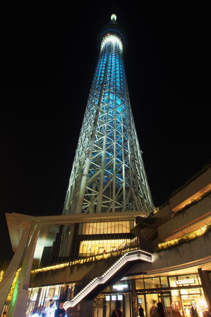 スカイツリー 冬粋