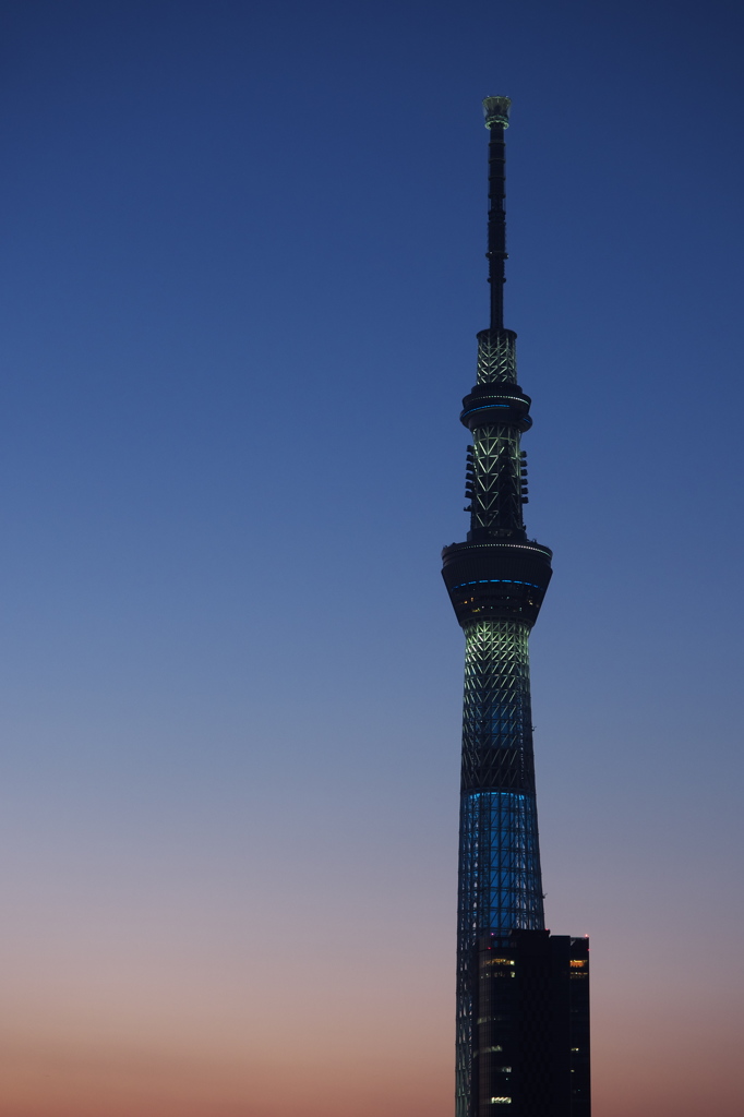 東京スカイツリー