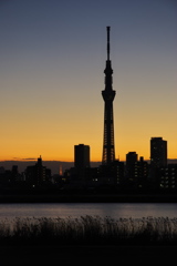 東京スカイツリー１６３