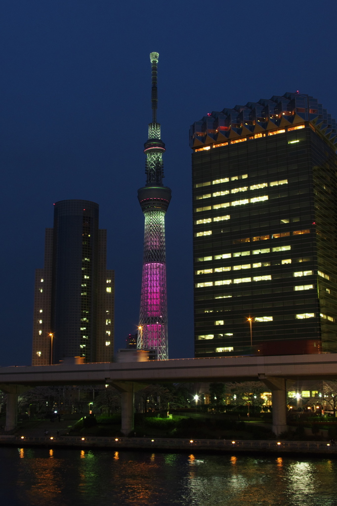 春の舞_２