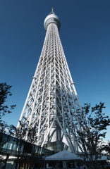 TOKYO SKYTREE