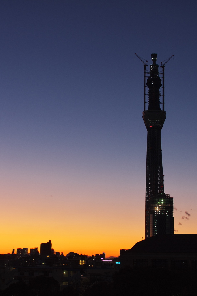 東京スカイツリー２３１