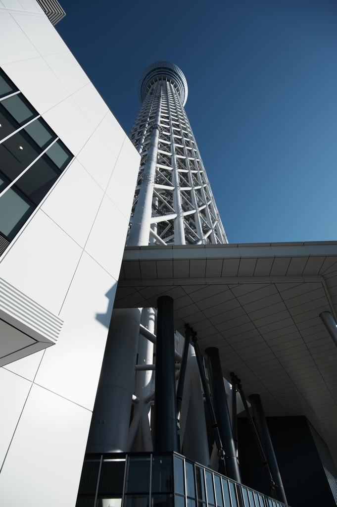TOKYO SKYTREE