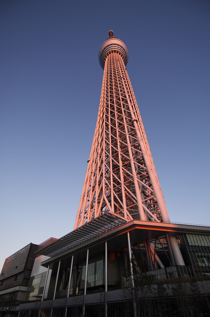 朝焼けのスカイツリー_２