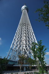 TOKYO SKYTREE