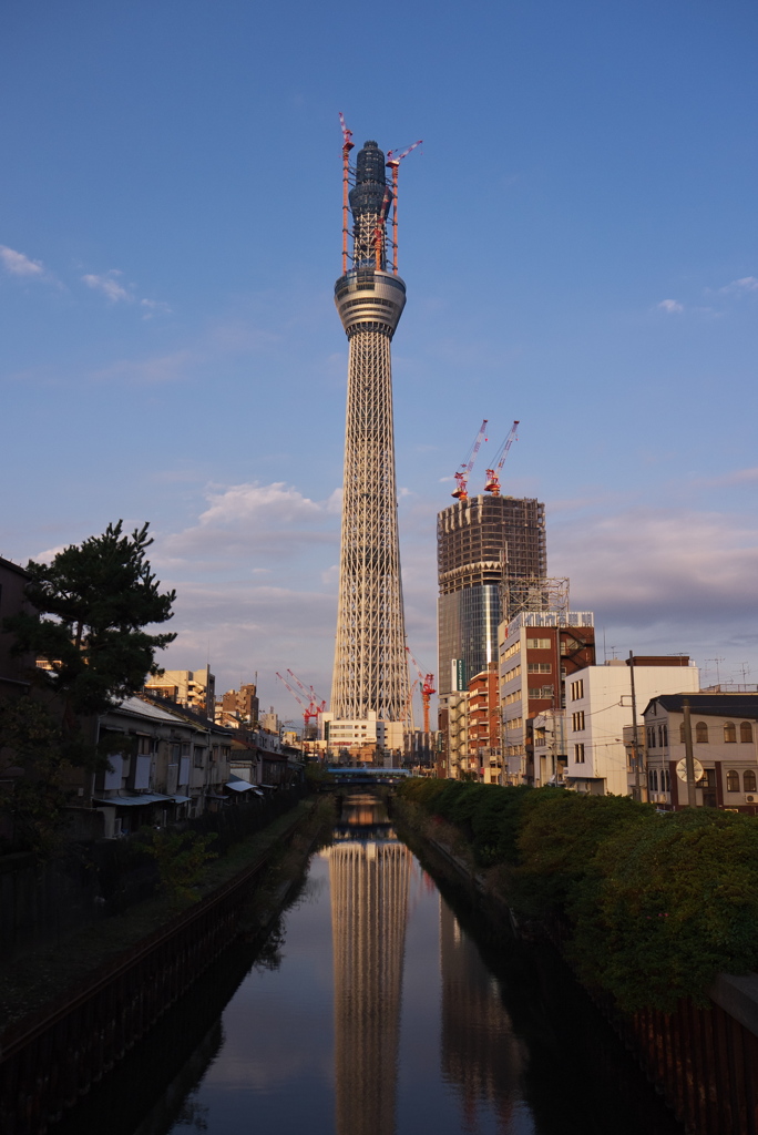 東京スカイツリー２１７