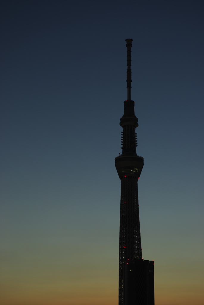 スカイツリー 回顧録_２１２