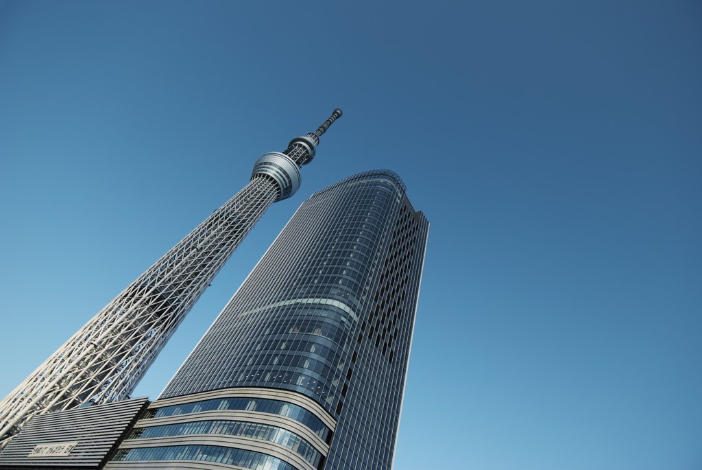 スカイツリー 回顧録_２３０