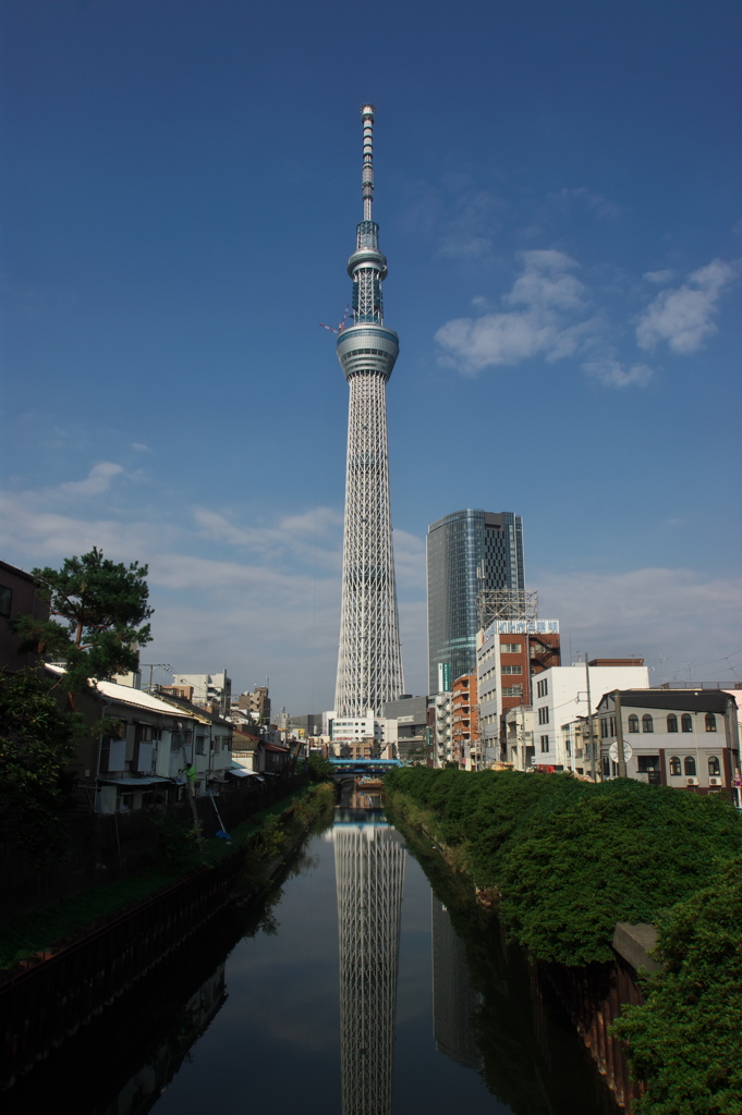 スカイツリー 回顧録_２５４