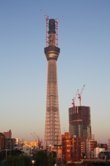 スカイツリー 回顧録_９