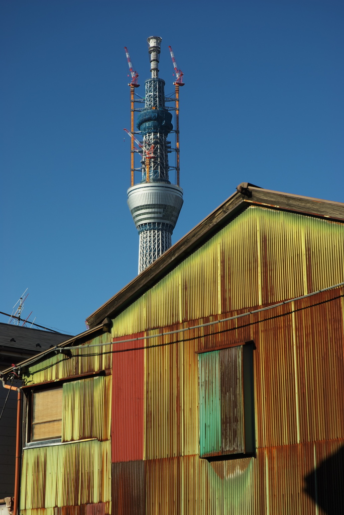 スカイツリー 回顧録_６０