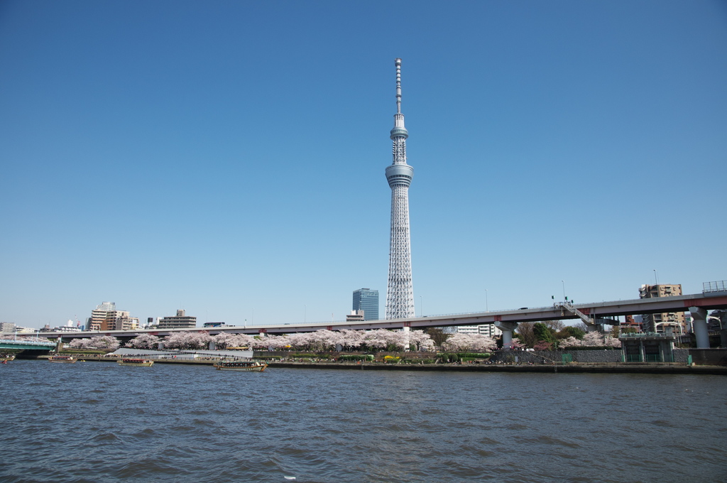 東京スカイツリー１０７