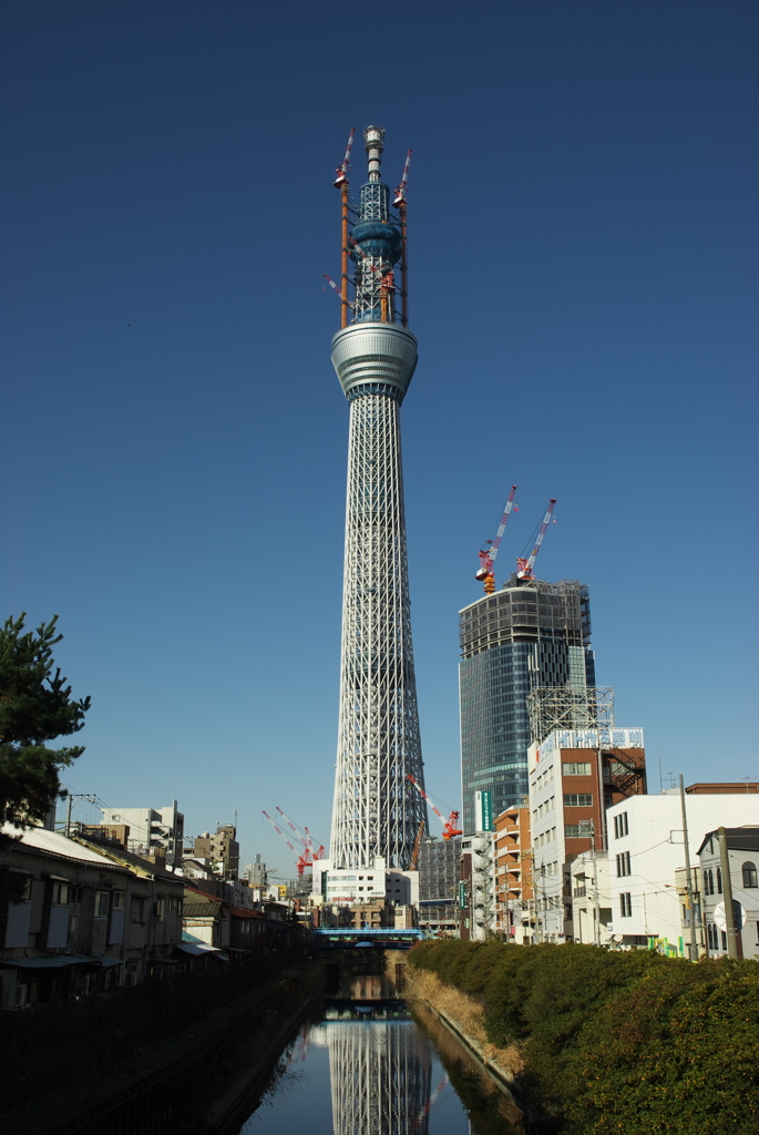 スカイツリー 回顧録_６３